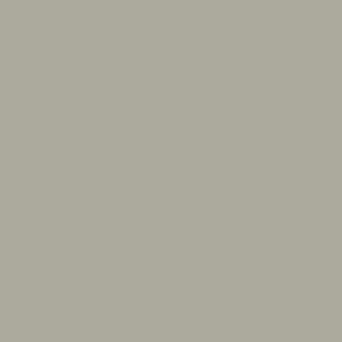 Fundamentals Hot Stone / Gray Semi-Gloss Exterior Paint, 5 Gallon