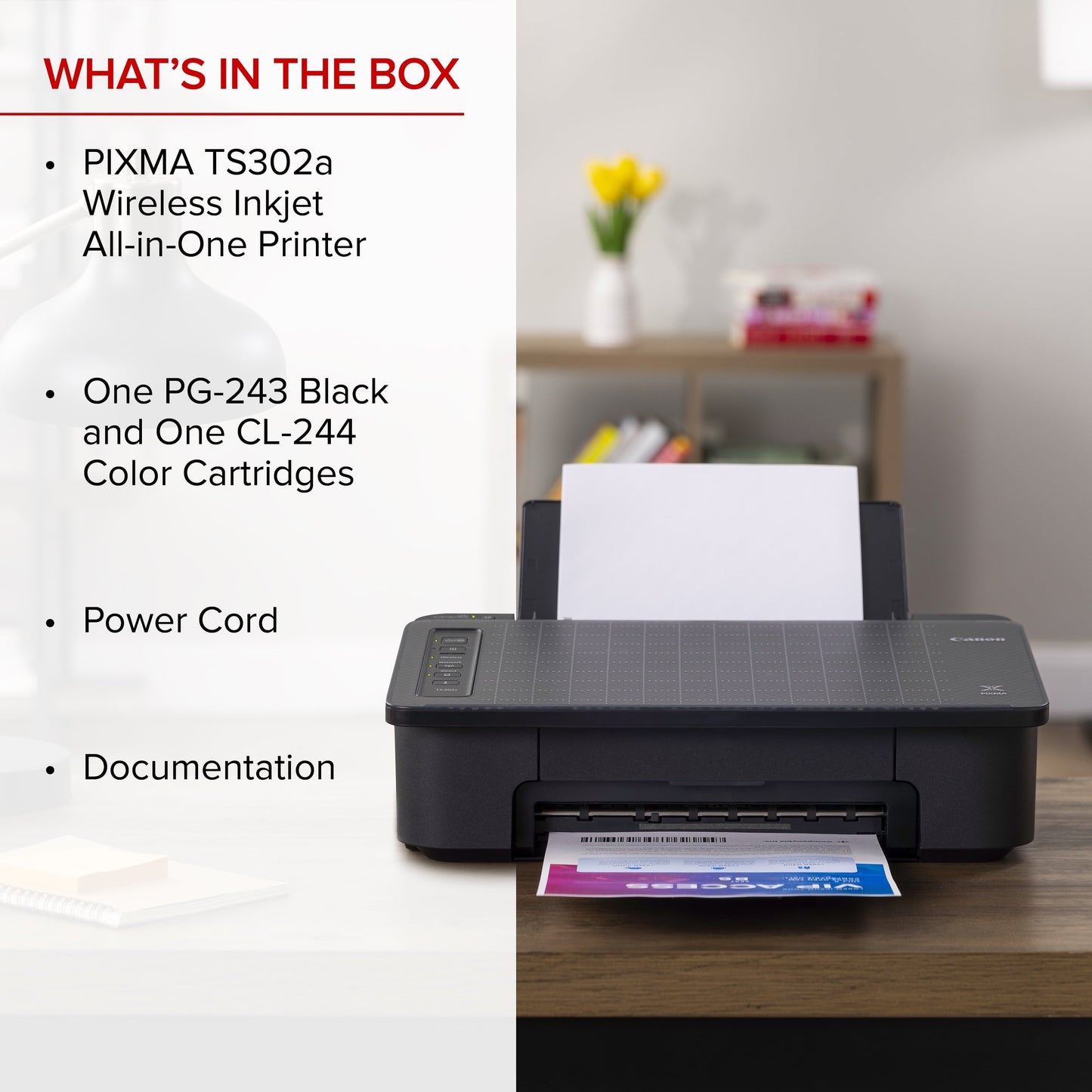 Canon PIXMA Ts302A Wireless Inkjet Printer