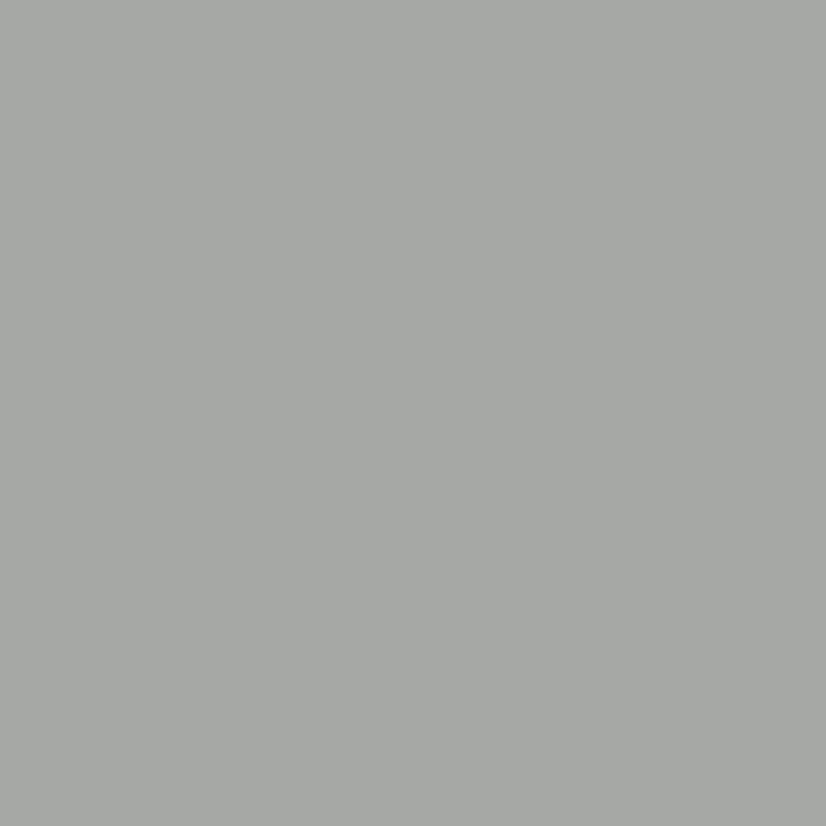 One Coat Stepping Stone / Gray Eggshell Interior Paint with Primer, 1 Gallon
