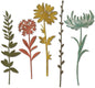 Sizzix Thinlits Die Set , Wildflower Stems #1 by Tim Holtz, 5 Pack, One Size, Multicolor 5 Piece