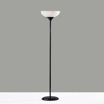 71" Floor Lamp, Black Plastic , Modern Styling for Young Adult Dorm or Adult Home Office.