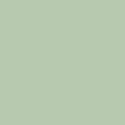 ® Premium Vinyl™ – Permanent, Bright Sage, 12" X 48"