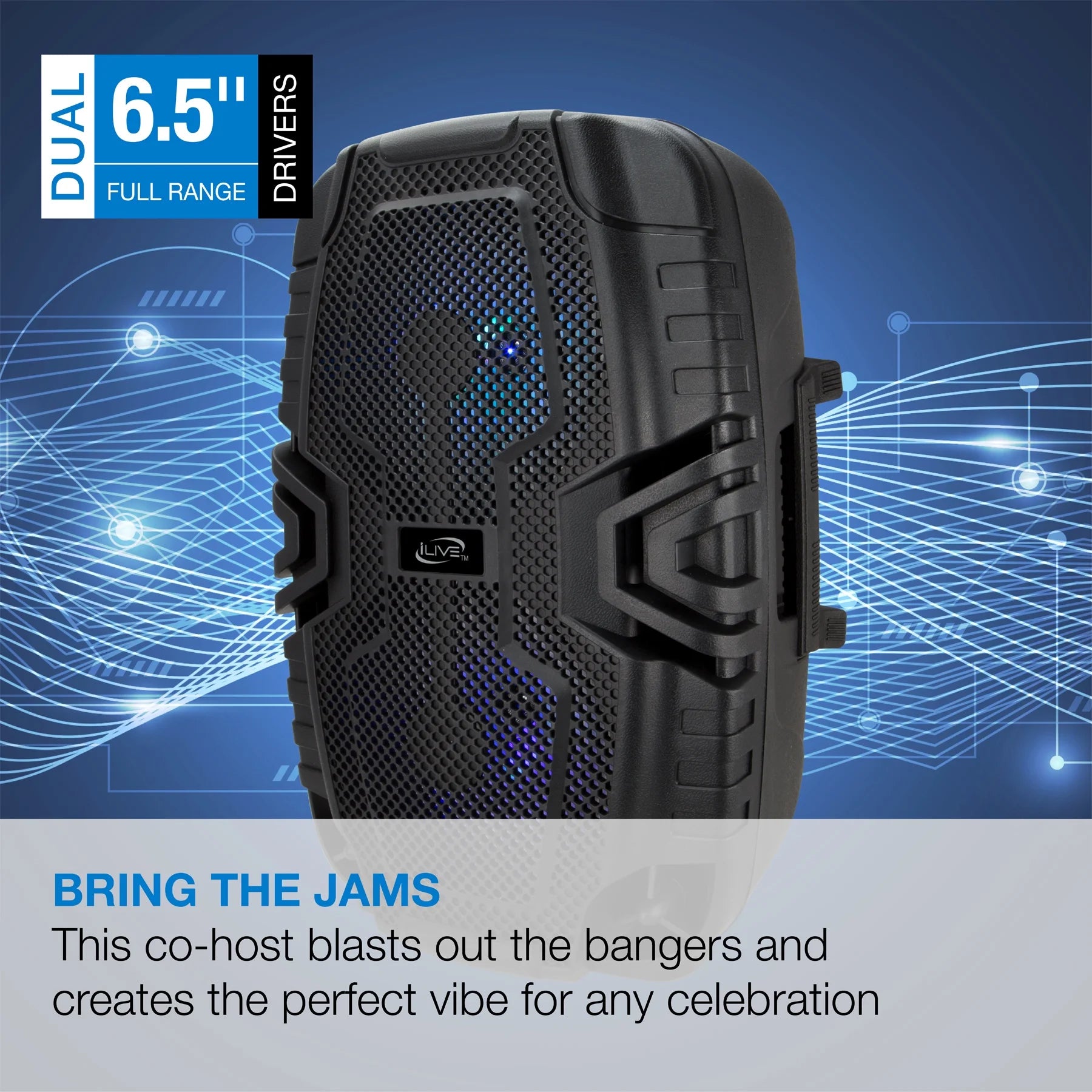 Wireless Tailgate Party Speaker, ISB250B, Black