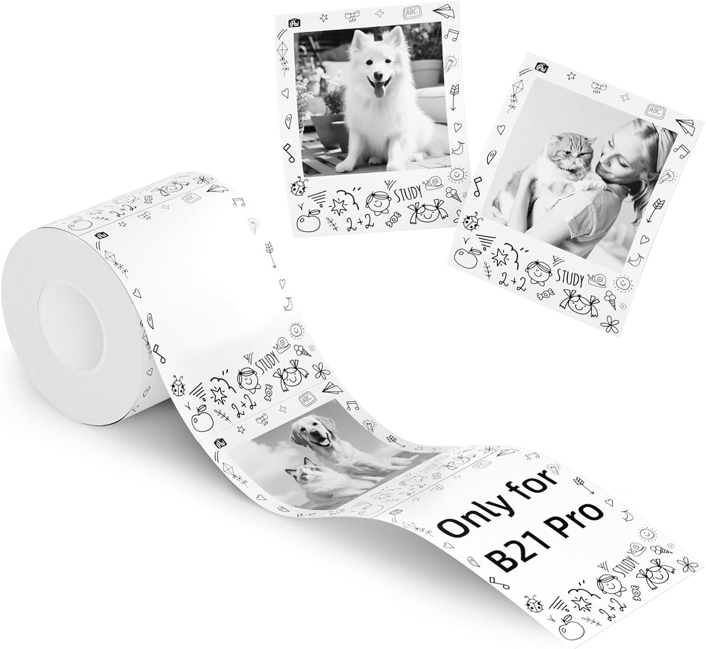 NIIMBOT Photo Papers Compatible with Pro Series Label Makers, Thermal Picture Labels Good Idea to Print Photos, Beauty Memories, Note,List (2.1''X2.6''-54X67Mm)
