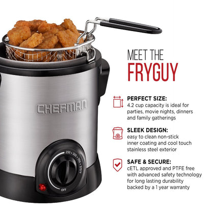 Fry Guy Stainless Steel Deep Fryer with Removable Basket, 4.2 Cup Capacity