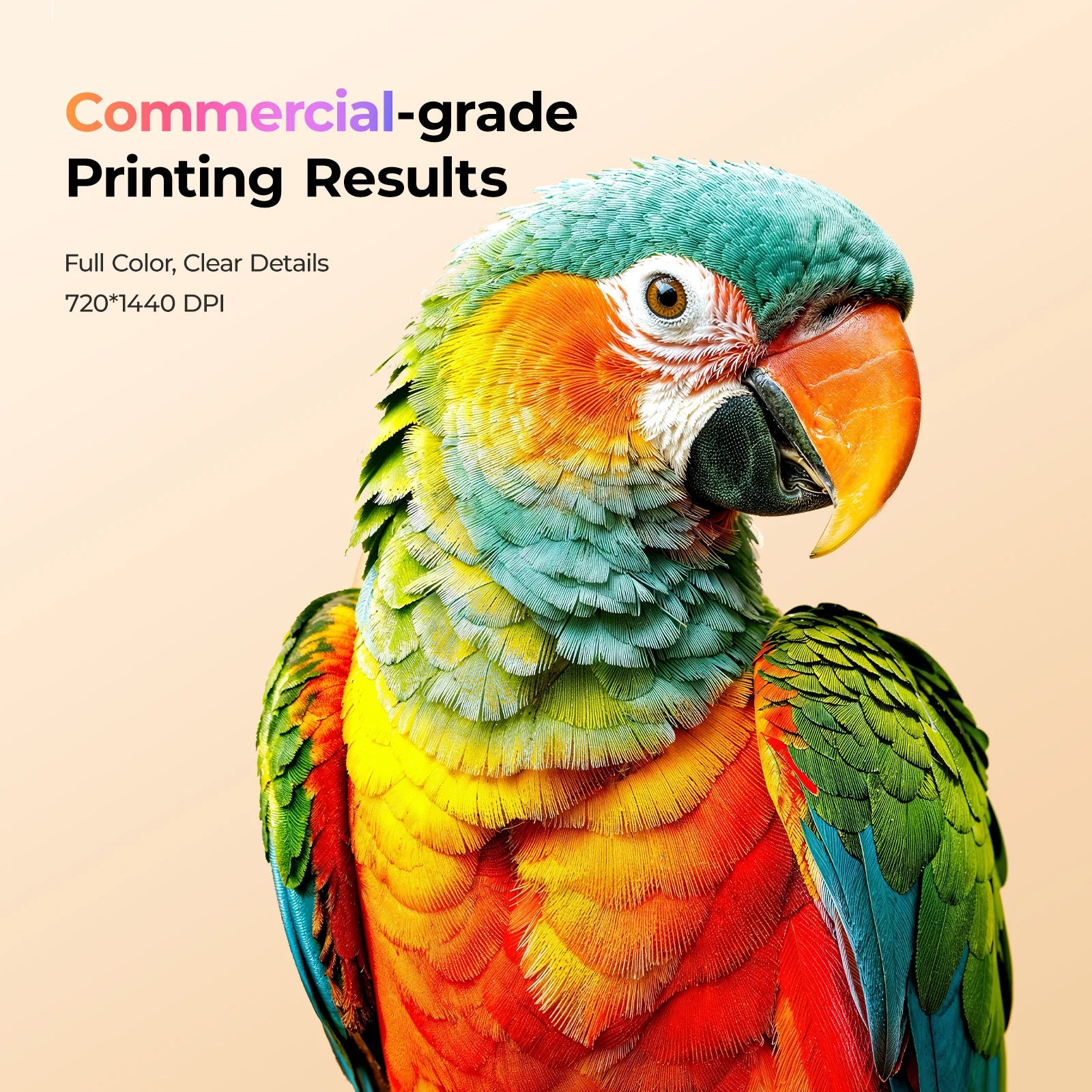 New Arrival! HTVRONT D2 DTF Printer