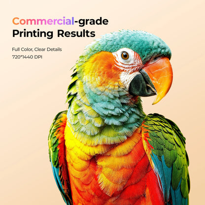 New Arrival! HTVRONT D2 DTF Printer