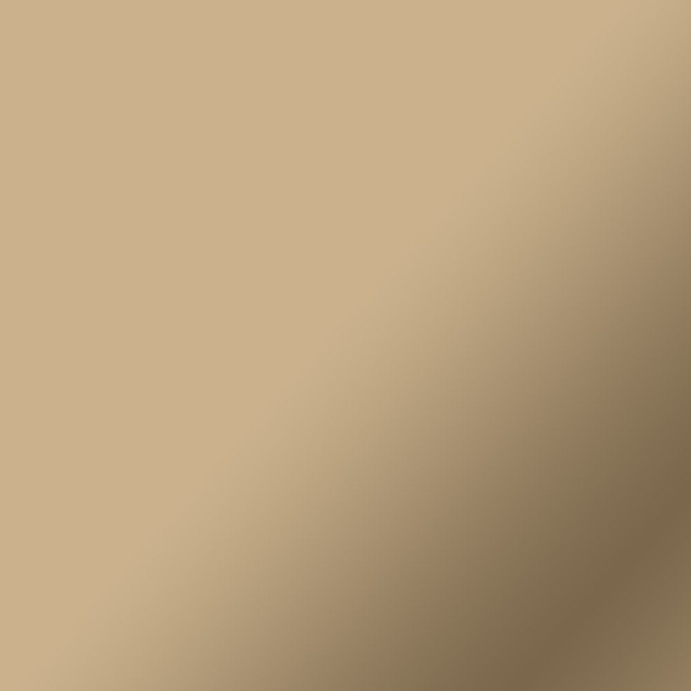 ® Smart Vinyl™ Matte Metallic – Permanent (12 Ft) - Champagne, 13" X 144"