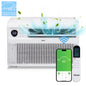 Energy Star 8000 BTU Inverter Window Air Conditioner, Energy-Saving Window AC Unit with APP & Voice Control, Ultra Quiet & Easy Installtion Design, Work with Alexa/Google Assistant, 115V/60Hz