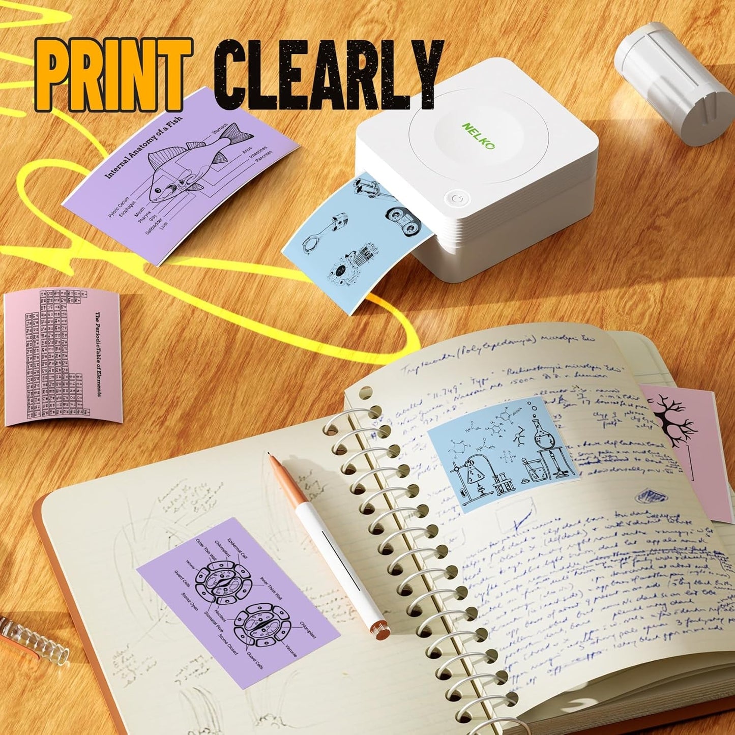 Nelko Genuine Self-Adhesive Thermal Printer Stickers, Compatible with PM230 Mini Sticker Printer, Black on White, 54Mmx3.5M Mini Sticker Printer Paper, 3 Rolls, Blue/Pink/Purple