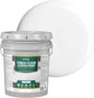 Porch & Floor Paint, Fast-Drying Wood and Concrete Paint, White, 5 Gallon