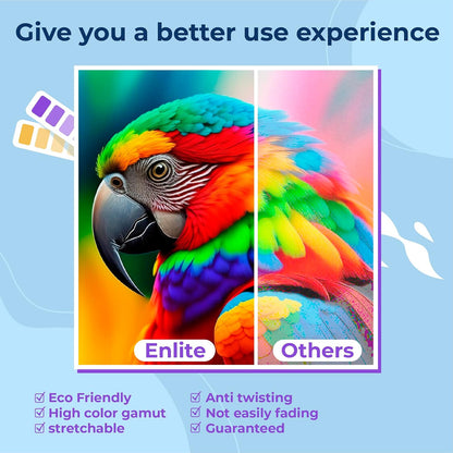 Enlite DTF Ink 250ML Combo Pack, Premium Pigment Ink for PET Film Heat Transfer Printing, Refill for DTF Printer with Printhead DX5 DX7 5113 XP600 I3200 4720 TX800, 2W+1B+1C+1M+1Y