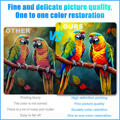 A3 DTF Roll Printer Direct to Film for T-Shirt Epson1390 Head 500Ml DTF INK US