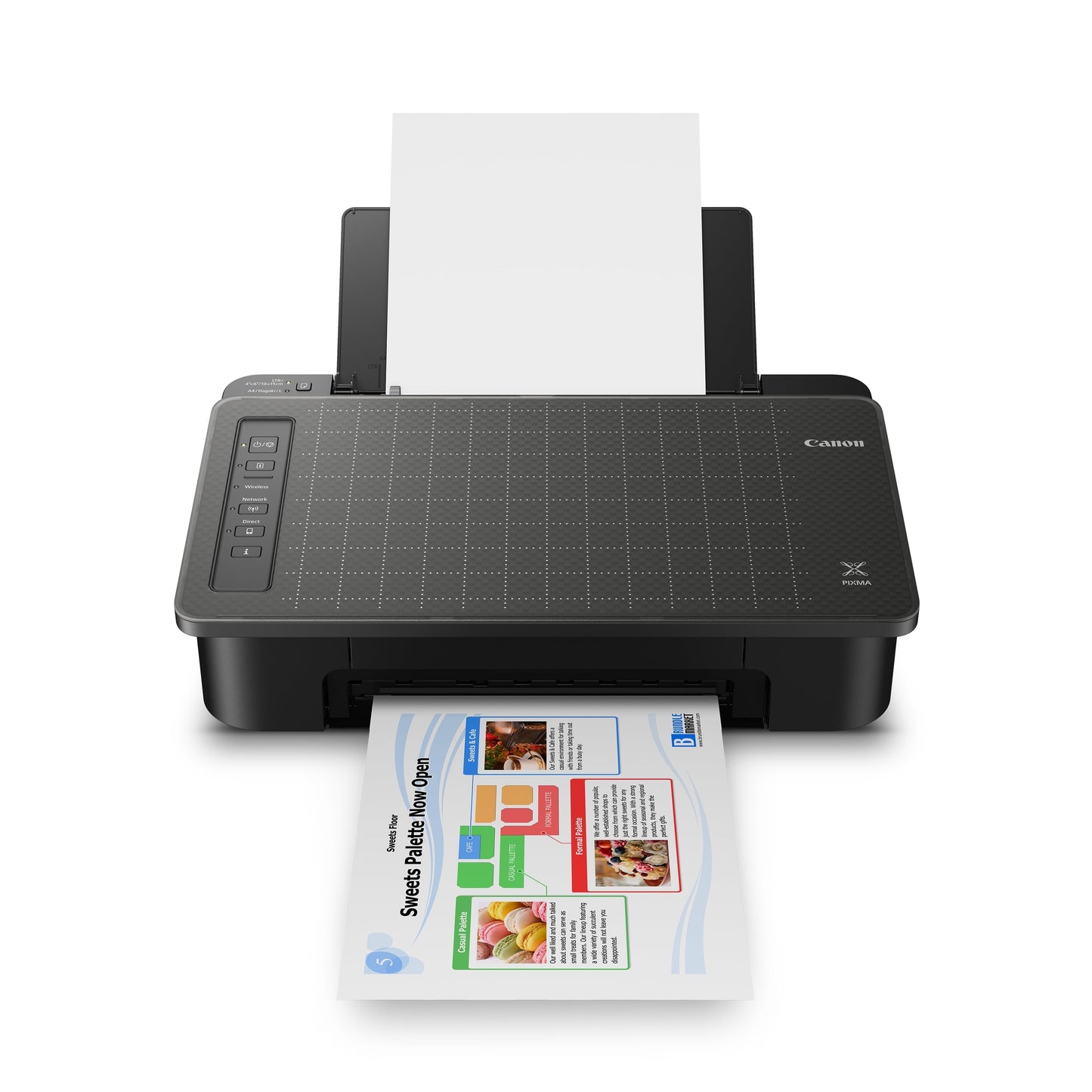 Canon PIXMA Ts302A Wireless Inkjet Printer