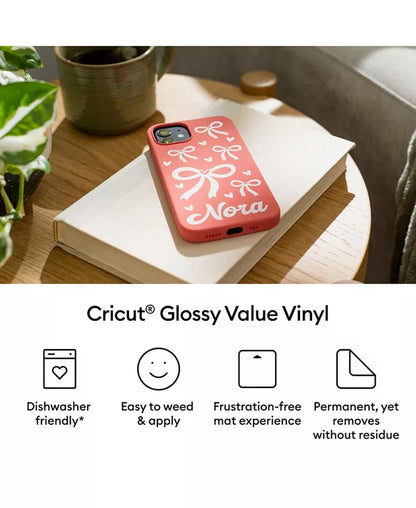 Permanent Glossy Value Vinyl - 12 in X 20 Ft