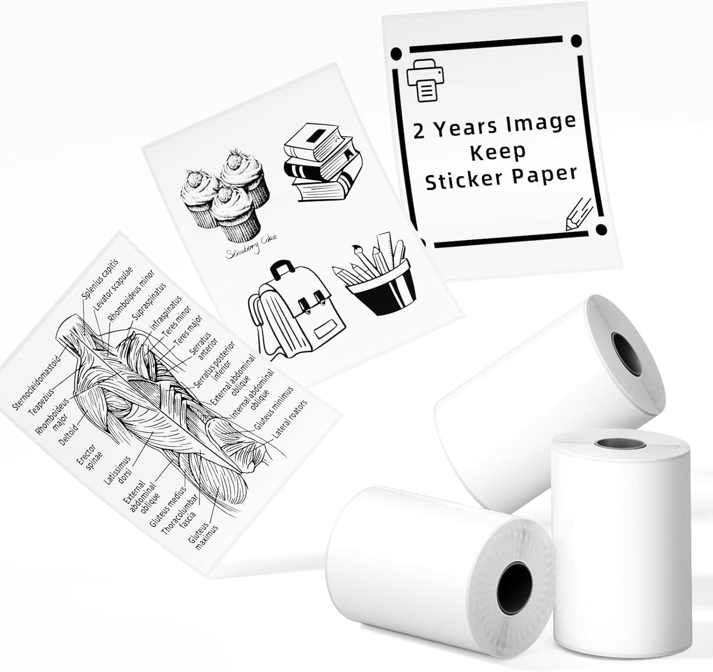 Phomemo Sticker Paper- for T02/T02Pro/Q02E/M02X/Y02C/Q02 Mini Printer, White Thermal Sticker for Study Notes, Photo, DIY, Stickers, Image Time 2 Years, Black on White Sticky Paper, 50Mm X3.5M, 3 Rolls
