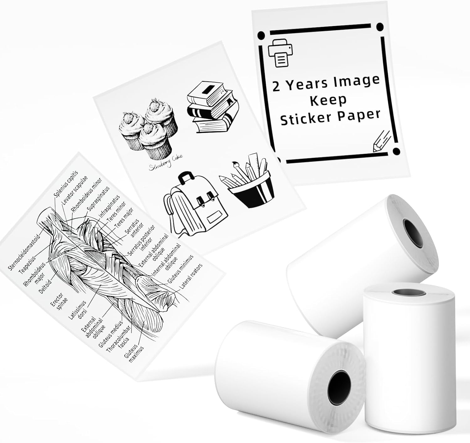 Phomemo Sticker Paper- for T02/T02Pro/Q02E/M02X/Y02C/Q02 Mini Printer, White Thermal Sticker for Study Notes, Photo, DIY, Stickers, Image Time 2 Years, Black on White Sticky Paper, 50Mm X3.5M, 3 Rolls