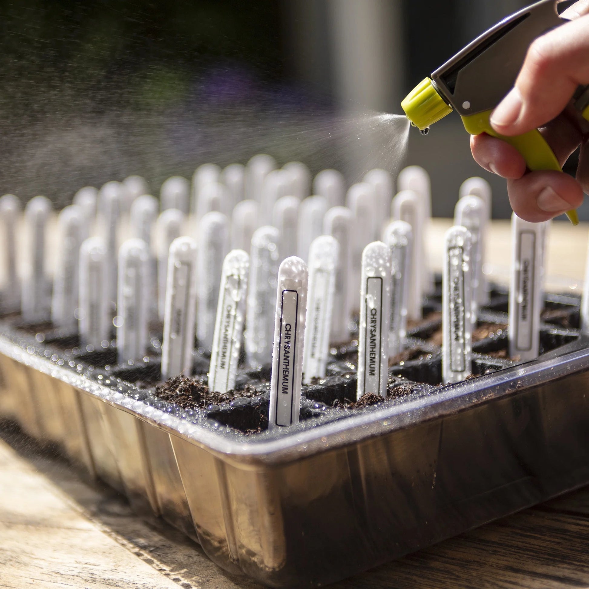 P-Touch PT-H103W Handheld Personal Label Maker with Tape, New, 1 Piece