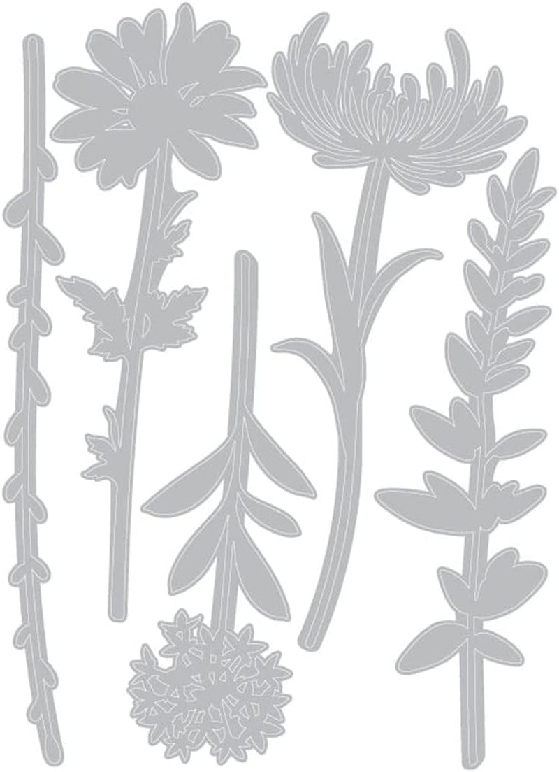 Sizzix Thinlits Die Set , Wildflower Stems #1 by Tim Holtz, 5 Pack, One Size, Multicolor 5 Piece