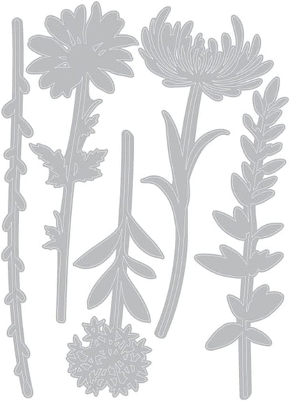 Sizzix Thinlits Die Set , Wildflower Stems #1 by Tim Holtz, 5 Pack, One Size, Multicolor 5 Piece