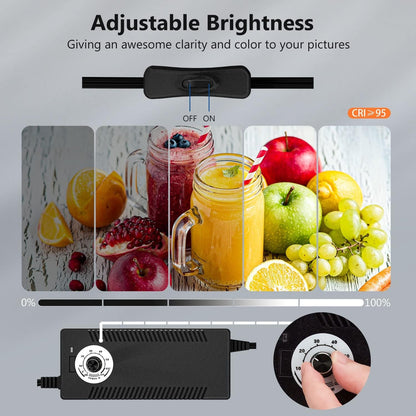 Photo Studio Light Box for Photography: Takerers 32X32 Inch 210 LED Large Lightbox for Product with 3 Stepless Dimming Light Panel, Professional Background Shooting Tent with 5 Color Backdrops