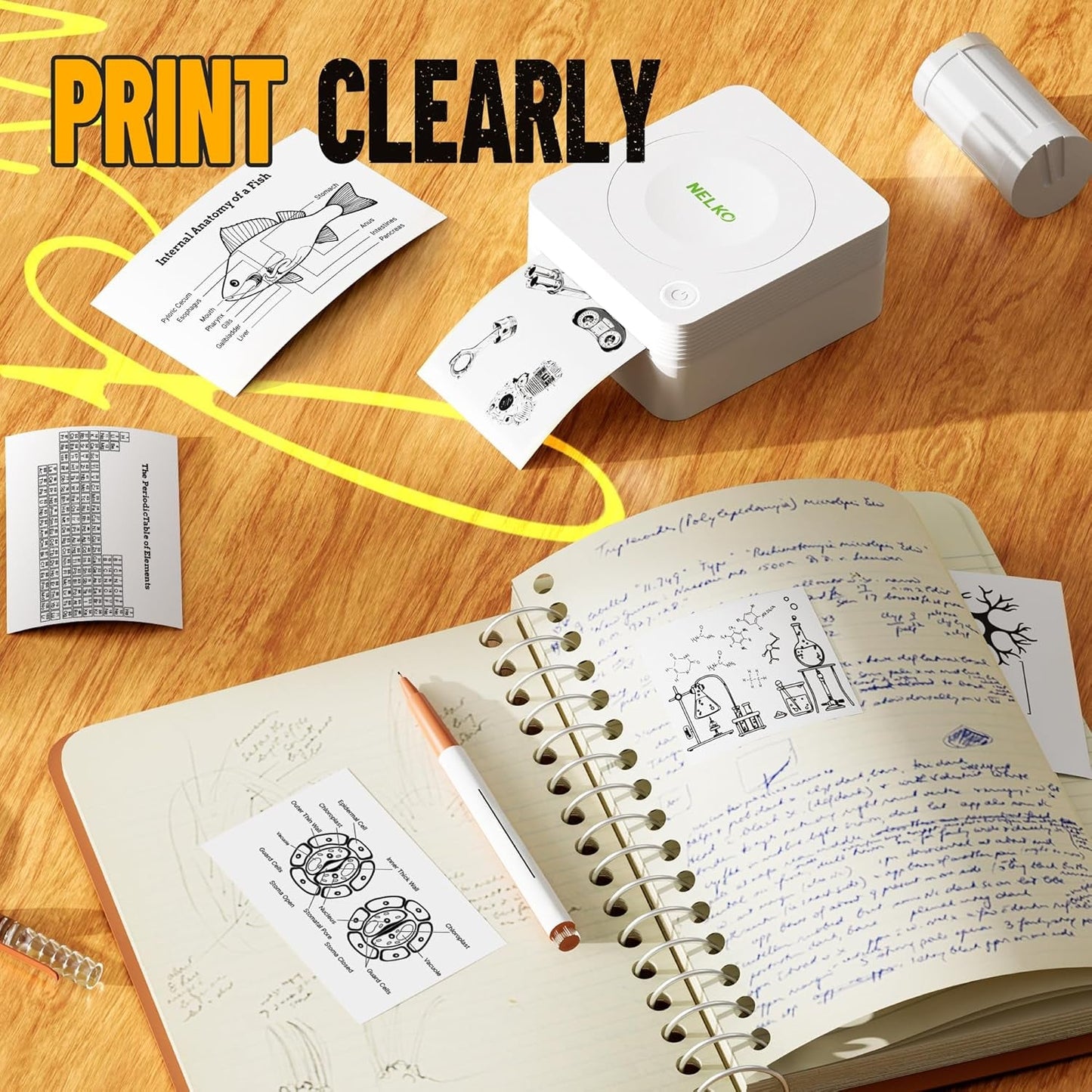 Nelko Genuine Self-Adhesive Thermal Printer Stickers, Compatible with PM230 Mini Sticker Printer, Black on White, 54Mmx3.5M, 3 Rolls, Transparent