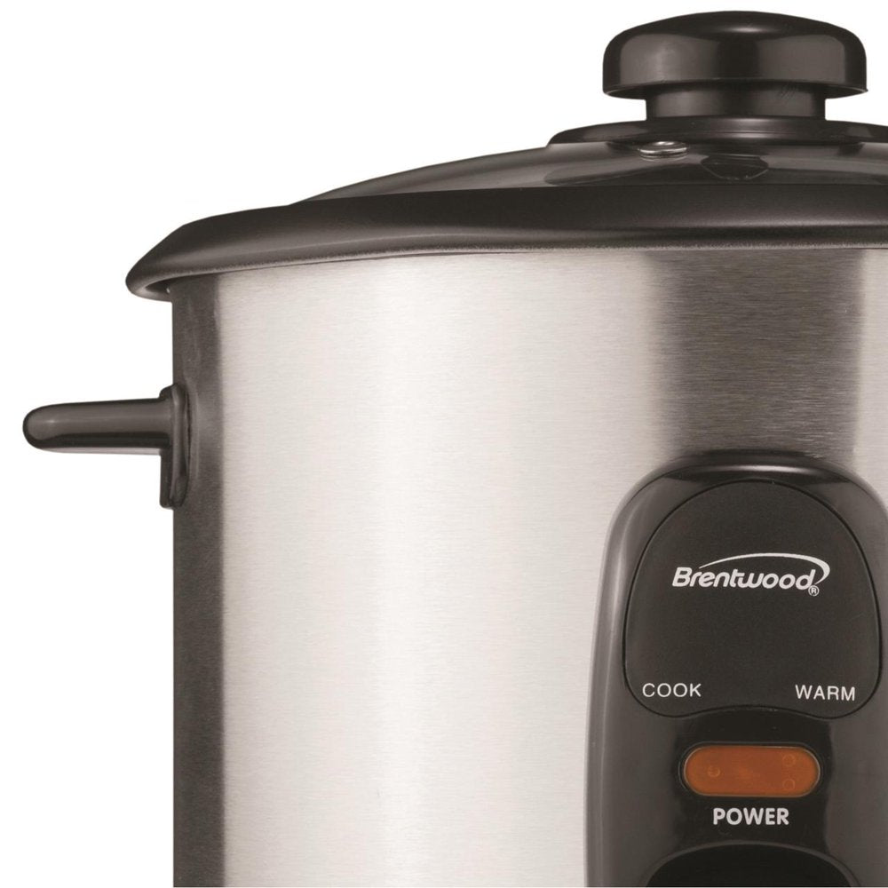 New TS-20 10-Cup Uncooked/20-Cup Cooked Rice Cooker, Stainless Steel